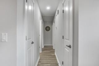 Dog Friendly Island Retreat Close to City and Beach - 4