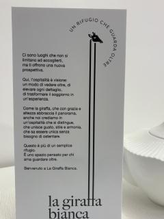 la giraffa bianca - 8