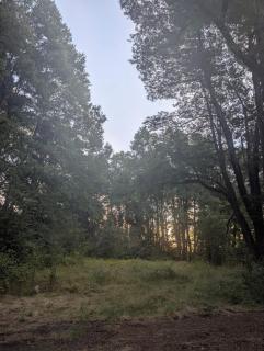 Llaima lodge Conguillio -  - 0