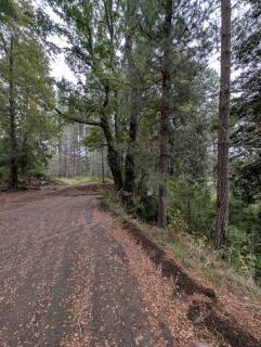 Llaima lodge Conguillio -  - 1