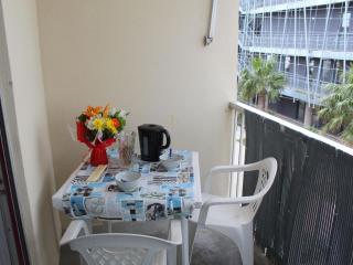 À deux pas des Thermes, appartement cosy avec balcon et tous équipements - FR-1-503-12 - 2