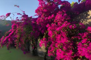 Sítio Solar Di Stella - 5