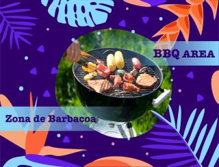 CARIBBEAN VACATION at playa LOS CORALES - 2