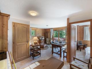 Appartement lumineux avec terrasse, à 250m des pistes et proche commerces - FR-1-566-64 - 2