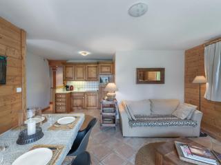 Appartement lumineux avec terrasse, à 250m des pistes et proche commerces - FR-1-566-64 - 3