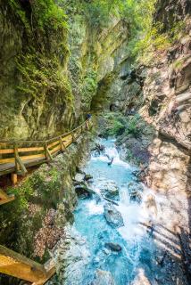 Ferienwohnung Vogelsang - Stans - 1