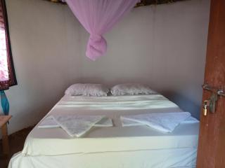 Dickson BV Homestay -Ukerewe Island - 8