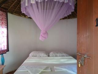 Dickson BV Homestay -Ukerewe Island - 9