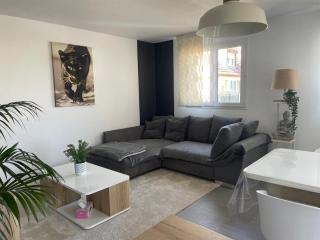 Appart cosy 4 à 6 pers - parking privé - 5 min Colmar - poêle à pellets - 2 terrasses - 7
