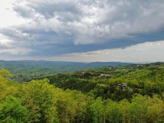 Lucky Landing at Blue Ridge Mountain Club - 5