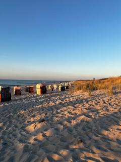 nagelneue Fewo mit Waldblick 10min zur See Igelring21og - 6
