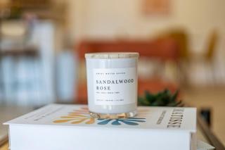 Modern 1BR near Oak Lawn - 7