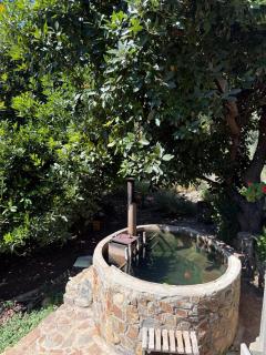 Casa Choapino - 6