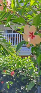 Evasion Tropicale - 8