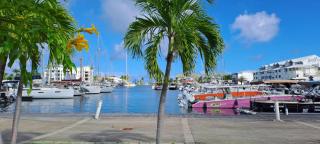 Evasion Tropicale - 7