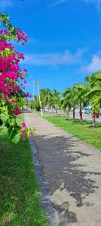 Evasion Tropicale - 1
