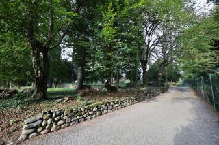 La Casa nel Bosco - 2