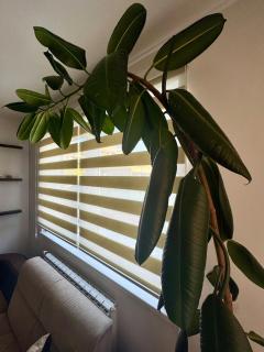 Family stay apartment with full amenities and parking - 7