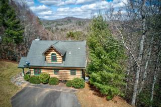 Cozy Bear Cabin - 9