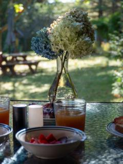 Domaine Chalets des pins - 2
