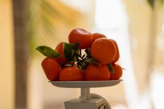 Elegant Ground Floor King Bed Condo - ME2 - 4