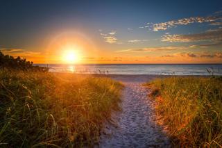 Elegant Ground Floor King Bed Condo - ME2 - 3