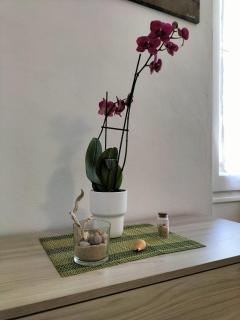 New House La Spezia - 1
