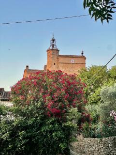 Grande maison de charme près de Carcassonne avec terrasse et jardin - 8