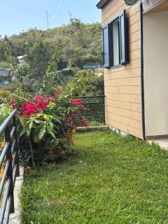 Le Jams Rosats - 1