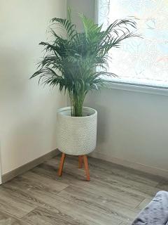 Logement à 500m du MEETT - 3