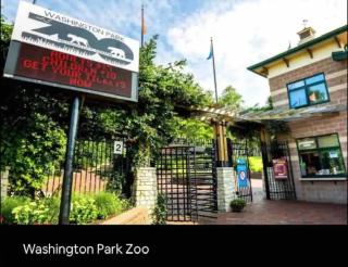 Playground Fence near Beach Mall Casino - 6