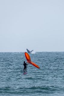 NOMADA DIGITAL - Casitas Privadas en Máncora - Playa & Piscina - 1