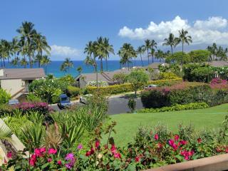 Wailea Elua Village 2401 - 6