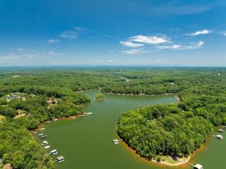 Blue Owl Lakefront Getaway Hot Tub Mini Golf - 7