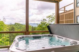 Calico Haven At Blue Ridge Mountain Club - Boone - 8