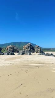 tiny house frente al mar - 7