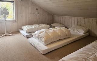 Nice Home In Tinn Austbygd With Sauna - 5