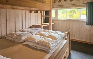 Nice Home In Tinn Austbygd With Sauna - 3