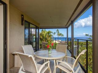 Wailea Elua Village 1502 - 4