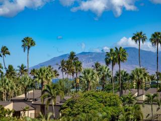 Wailea Elua Village 1502 - 2