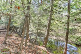 8 Private Acres Little Mahoning Creek Cabin! - 6