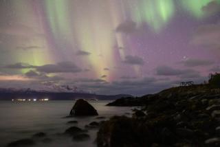 Roestbakken Horizon - 5