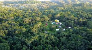 Lower Dover Jungle Lodge & Maya Ruins - 2