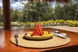 Alma Maya Resort - Riviera Maya - 3