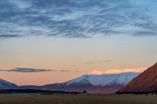 Manuka Starlight Cabin - 6