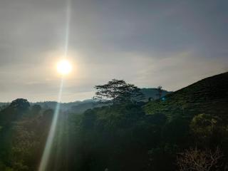 Cloud vagamon 3 bedroom cottage - 9