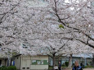 2階 難波駅の真横に位置するモダンアパートメント ベッド5台 シャワー2台 - 9
