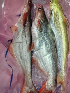 Rumah Rakit Bangau Parit Temerloh - 1