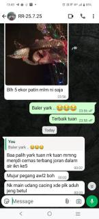 Rumah Rakit Bangau Parit Temerloh - 2
