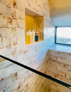 Big Bend Vacation House - VIEWS - 9